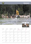 Calendar picture