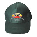 VAGSB cap