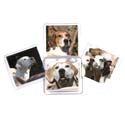 VAHSC coasters picture
