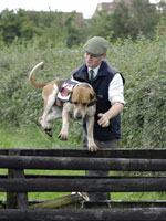Hound racing