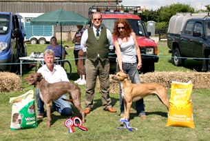 lurcher champions