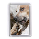 VAHSC fridge magnet picture
