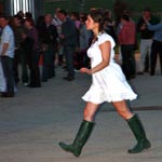 The Wurzels